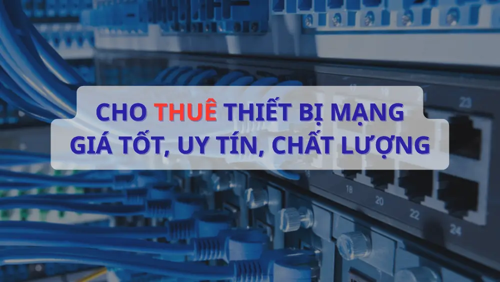 cho-thue-thiet-bi-mang